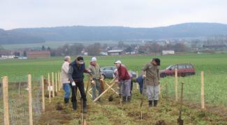 Neuanlage von Hecken bei Wettenhofen